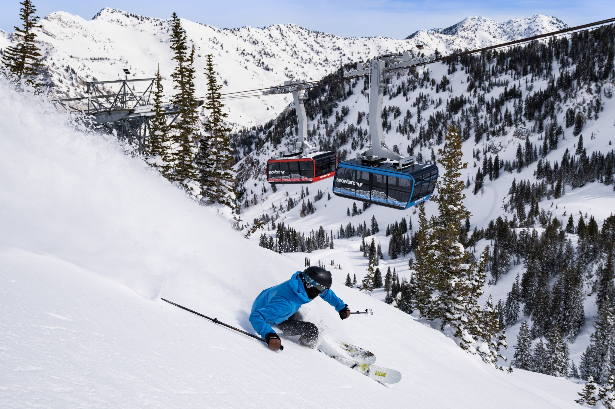 Snowbird - Main View