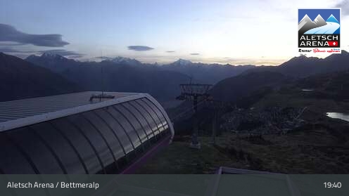 Live Cam 1