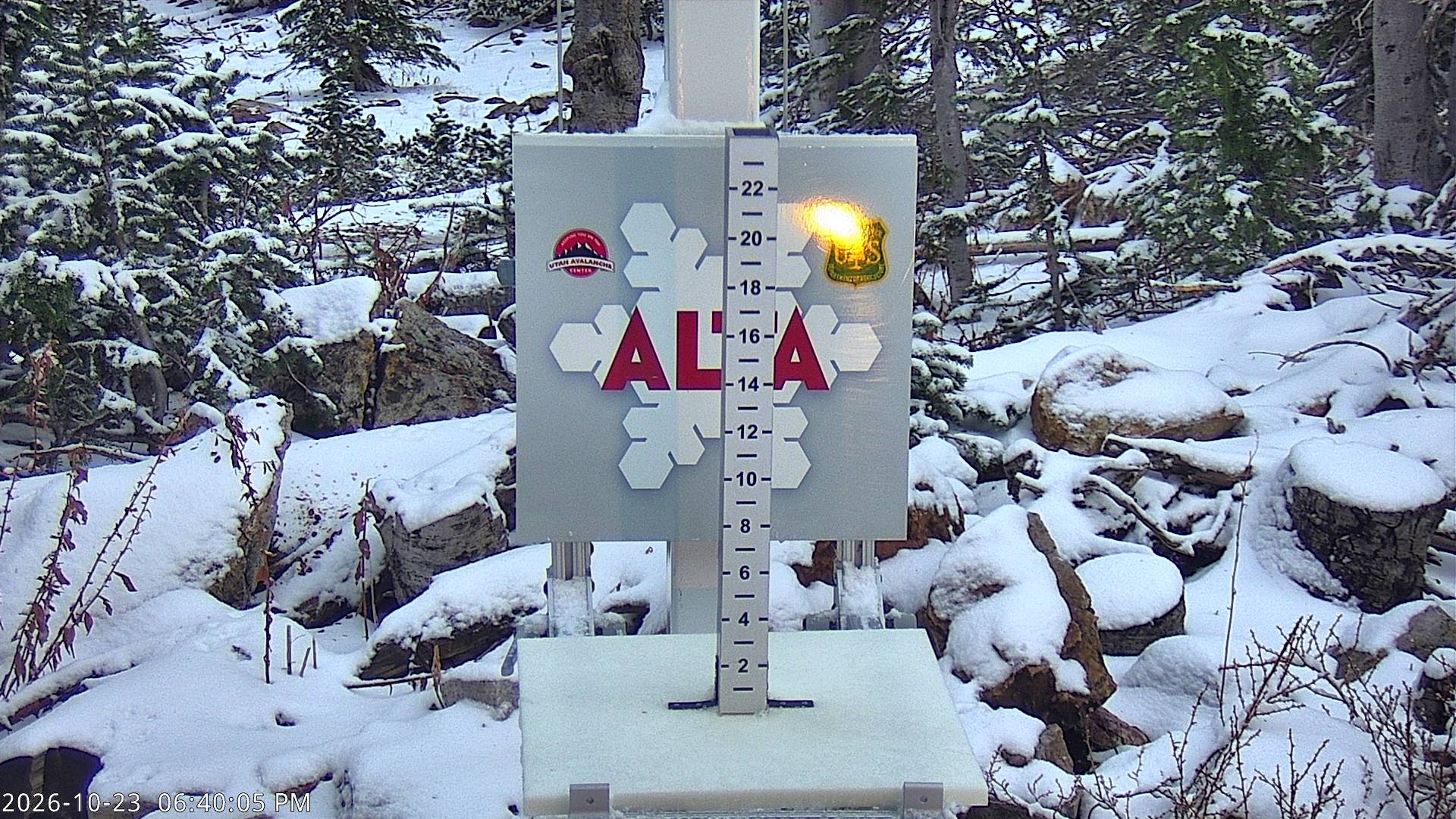 Collins Snow Stake