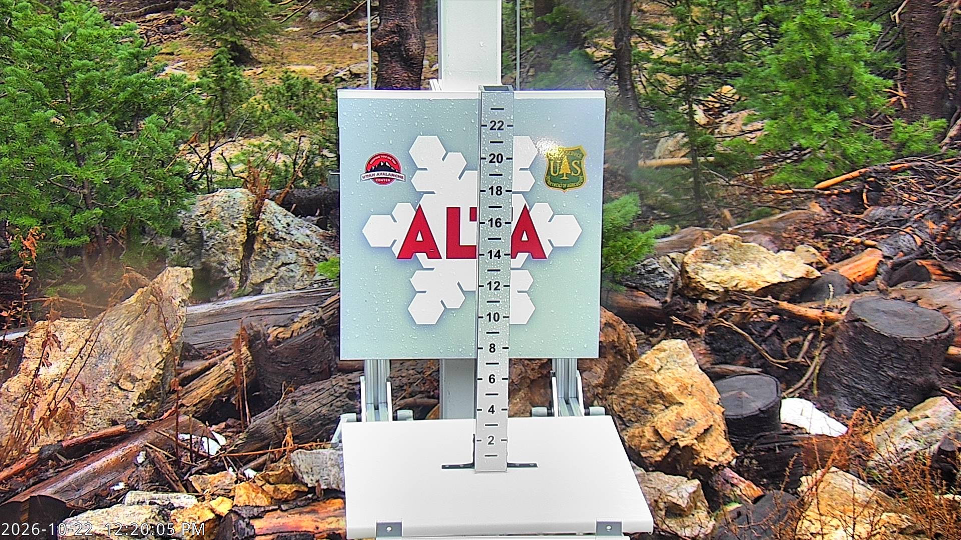 Collins Snow Stake