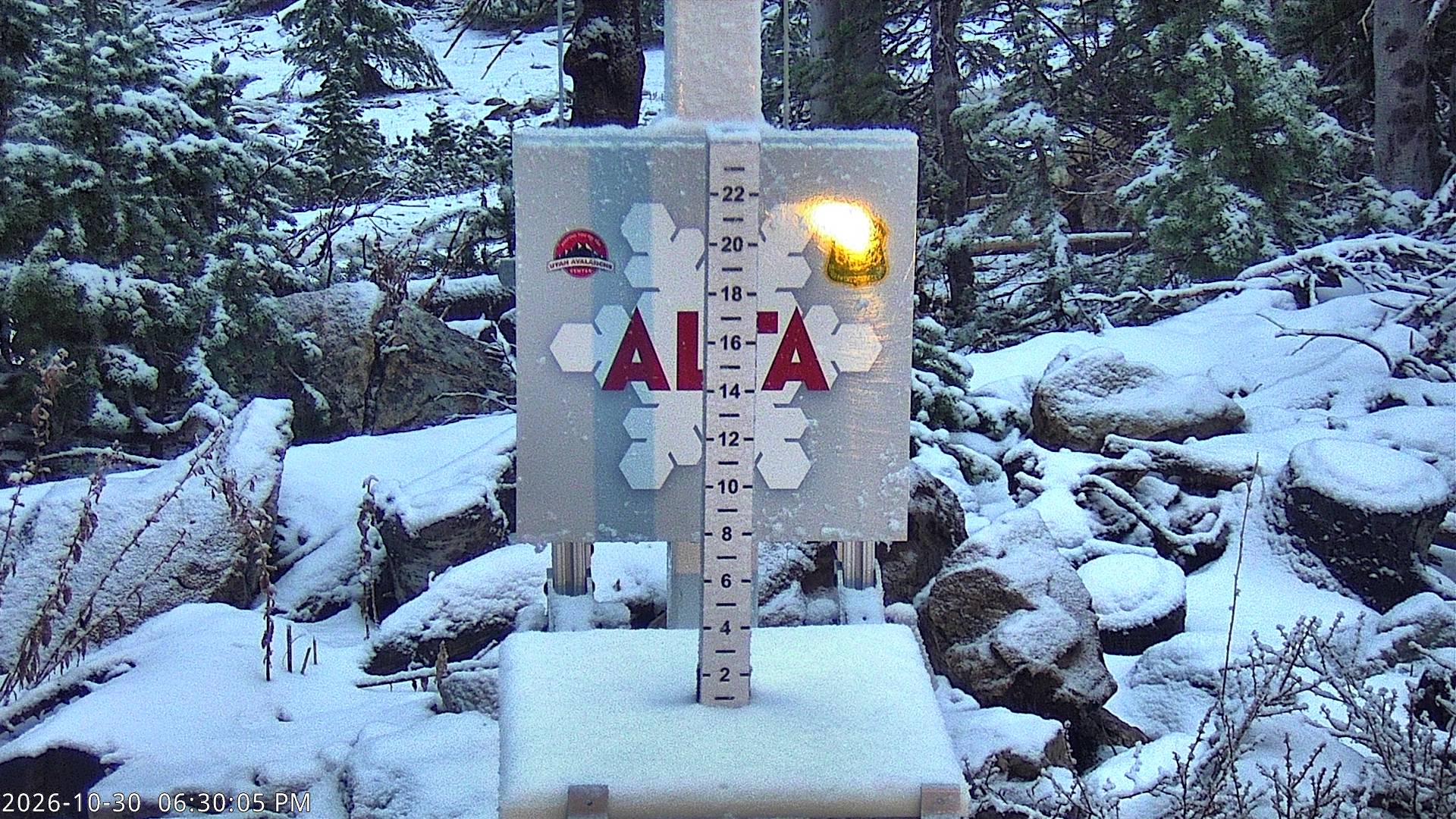 Collins Snow Stake