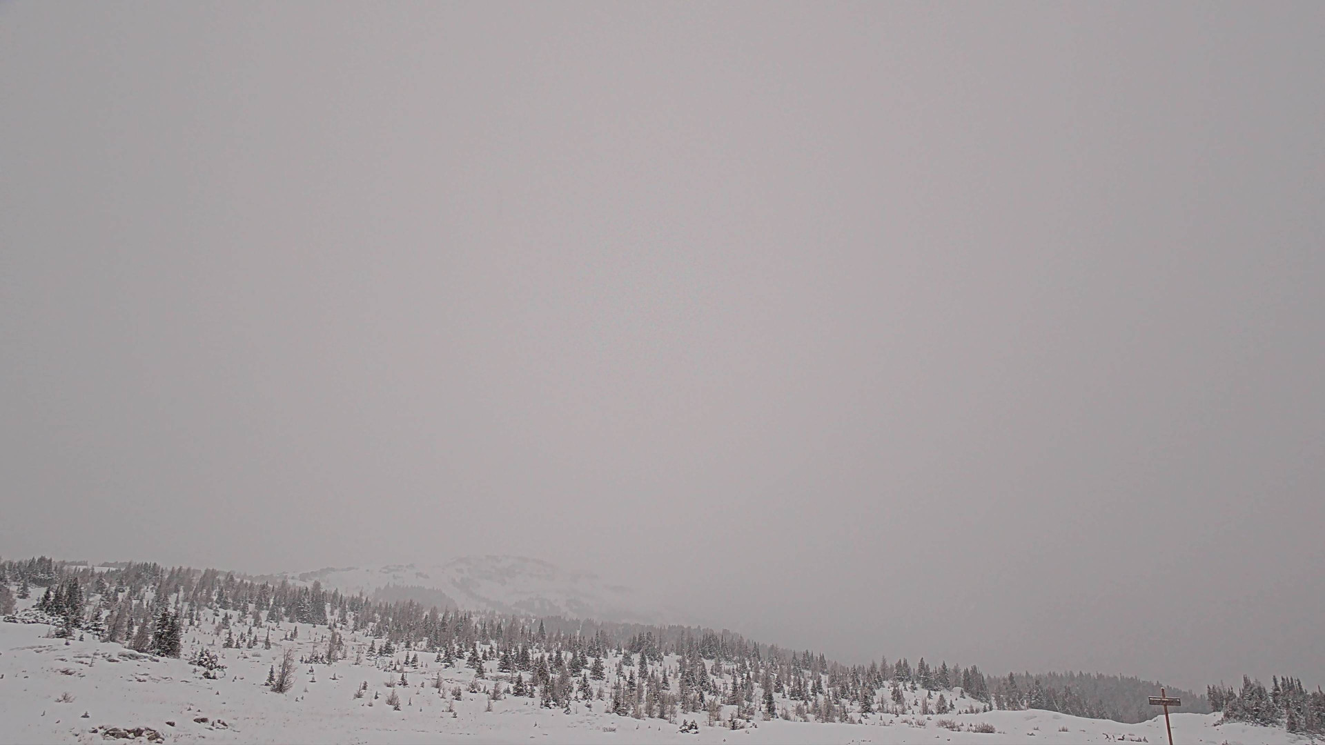 Aurora Cam