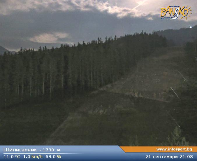 Livecam 3