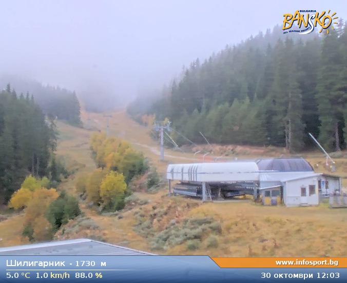 Livecam 3