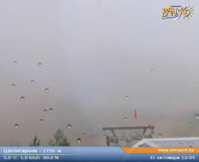 Livecam 3