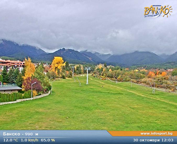 Livecam 5