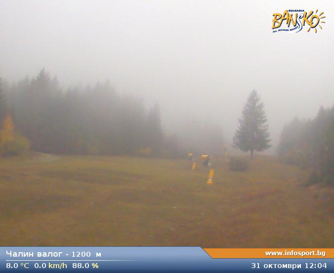Livecam 6