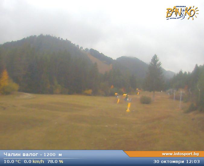 Livecam 6