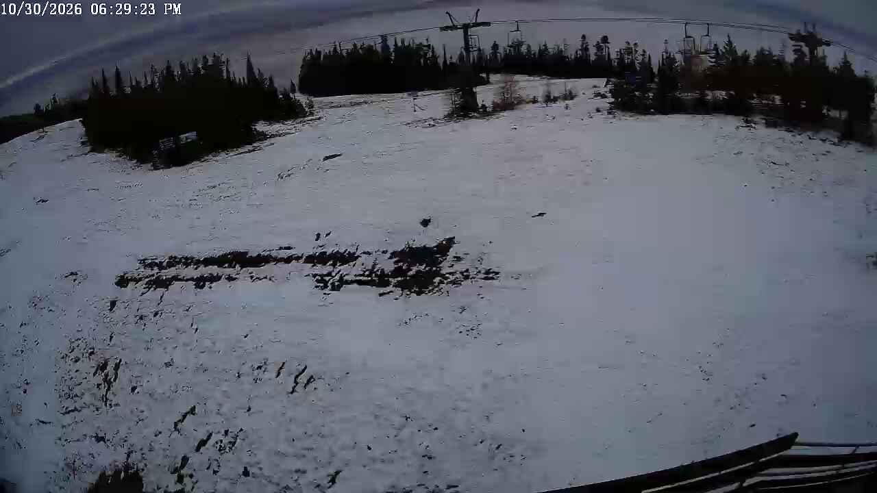 Blacktail Webcam