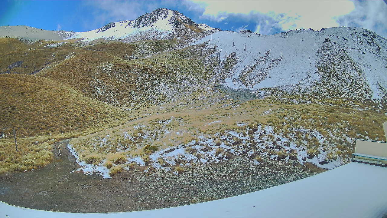Palmer 1