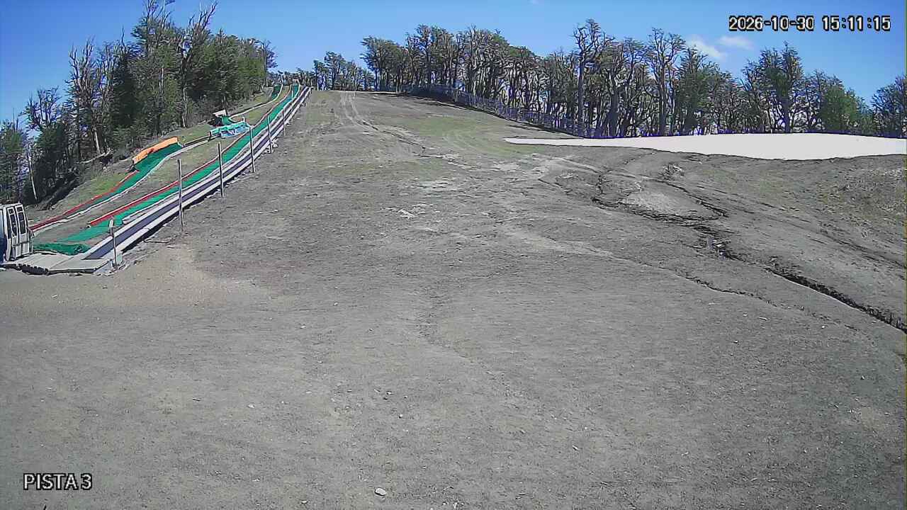 Copitos