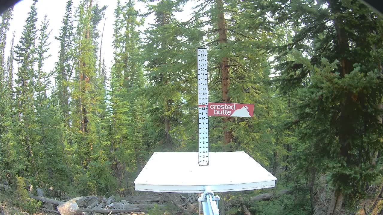 Snow Stake