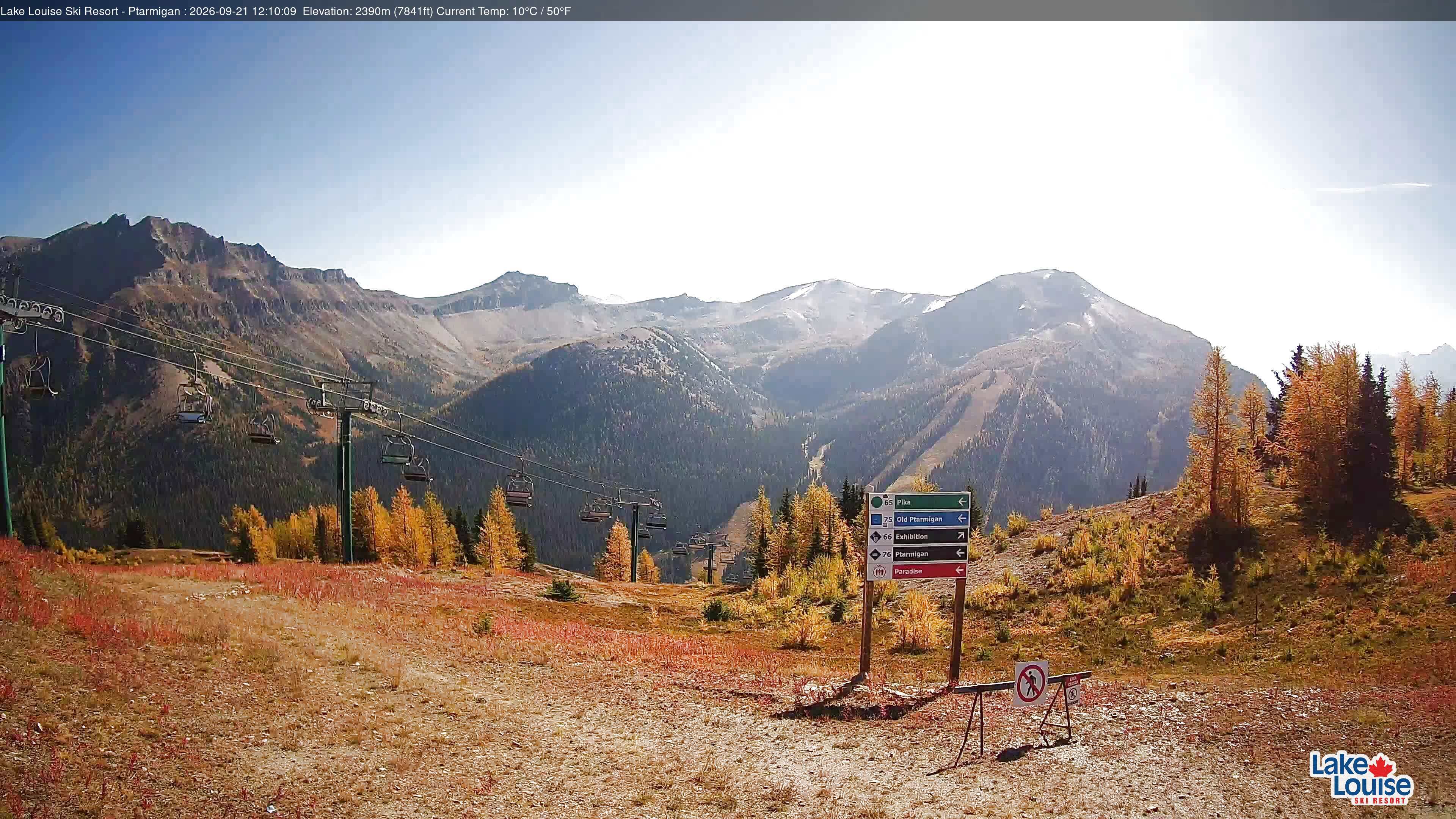 Ptarmigan Chair