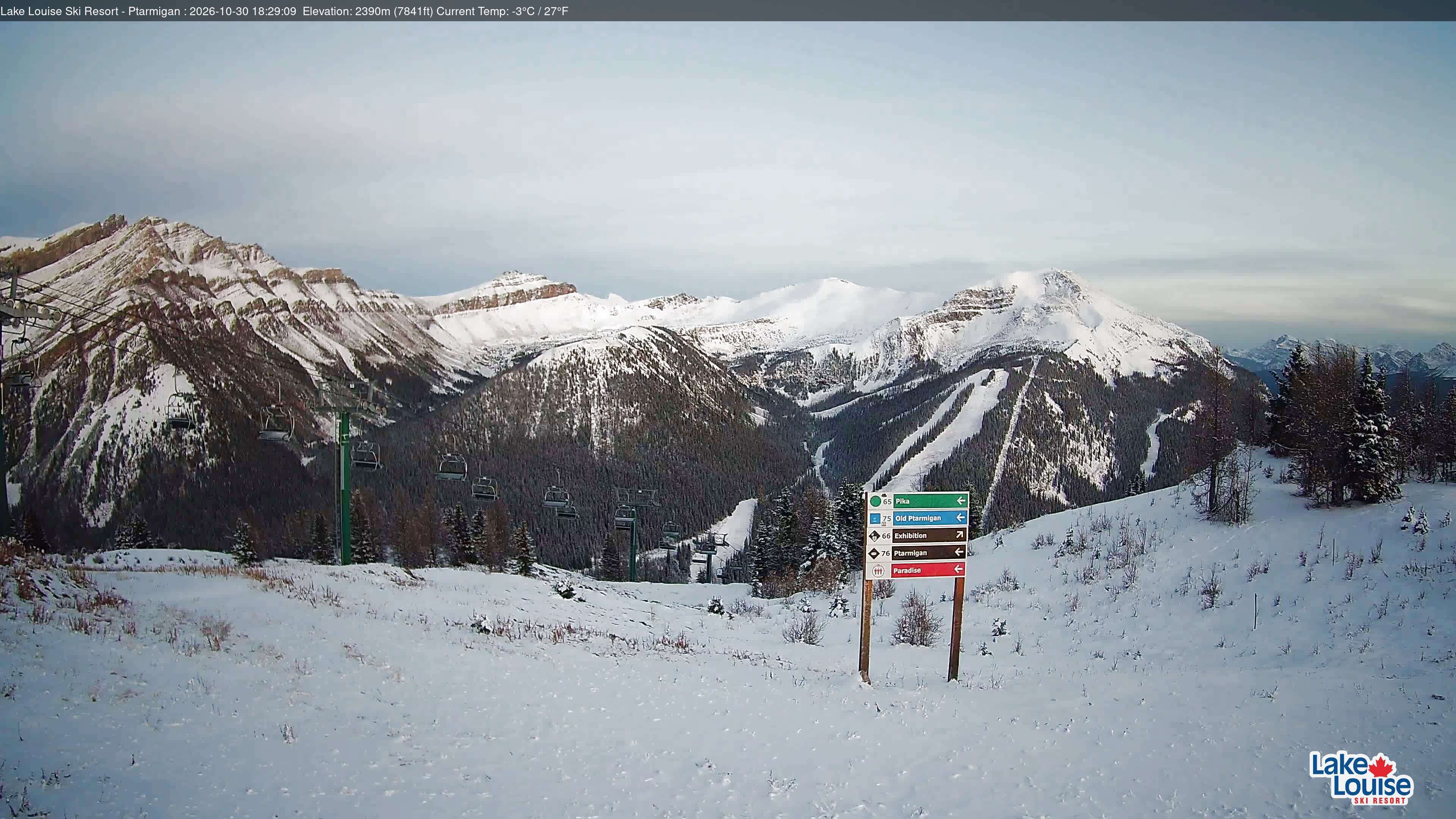 Ptarmigan Chair