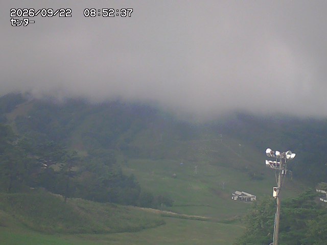 Live Cam