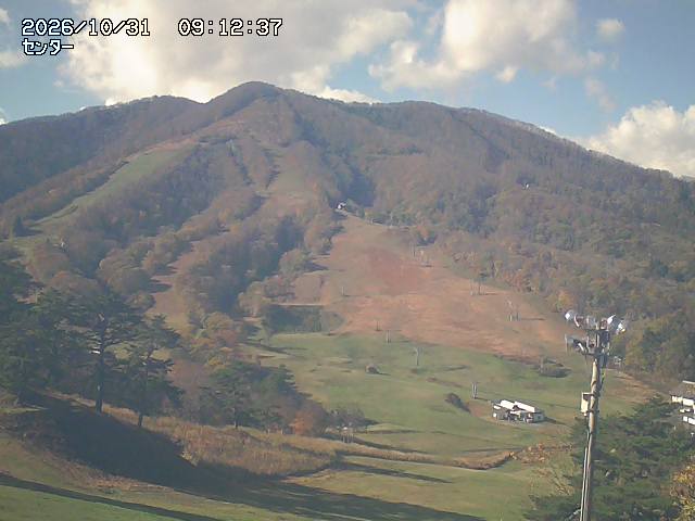 Live Cam