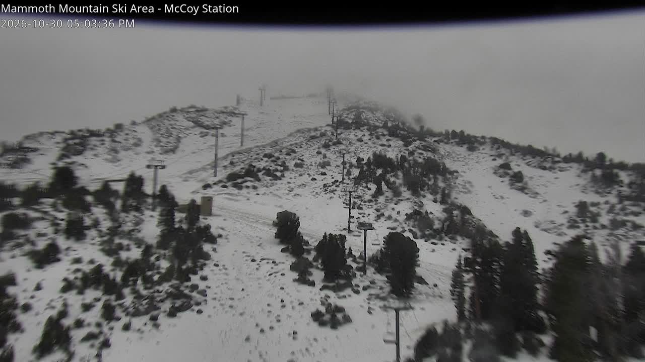 McCoy Station / Chair 3