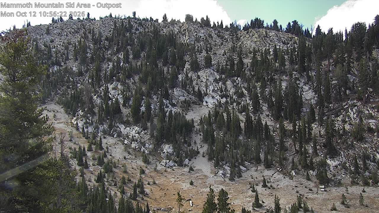 Mammoth Mountain webcam — Outpost / Hemlocks