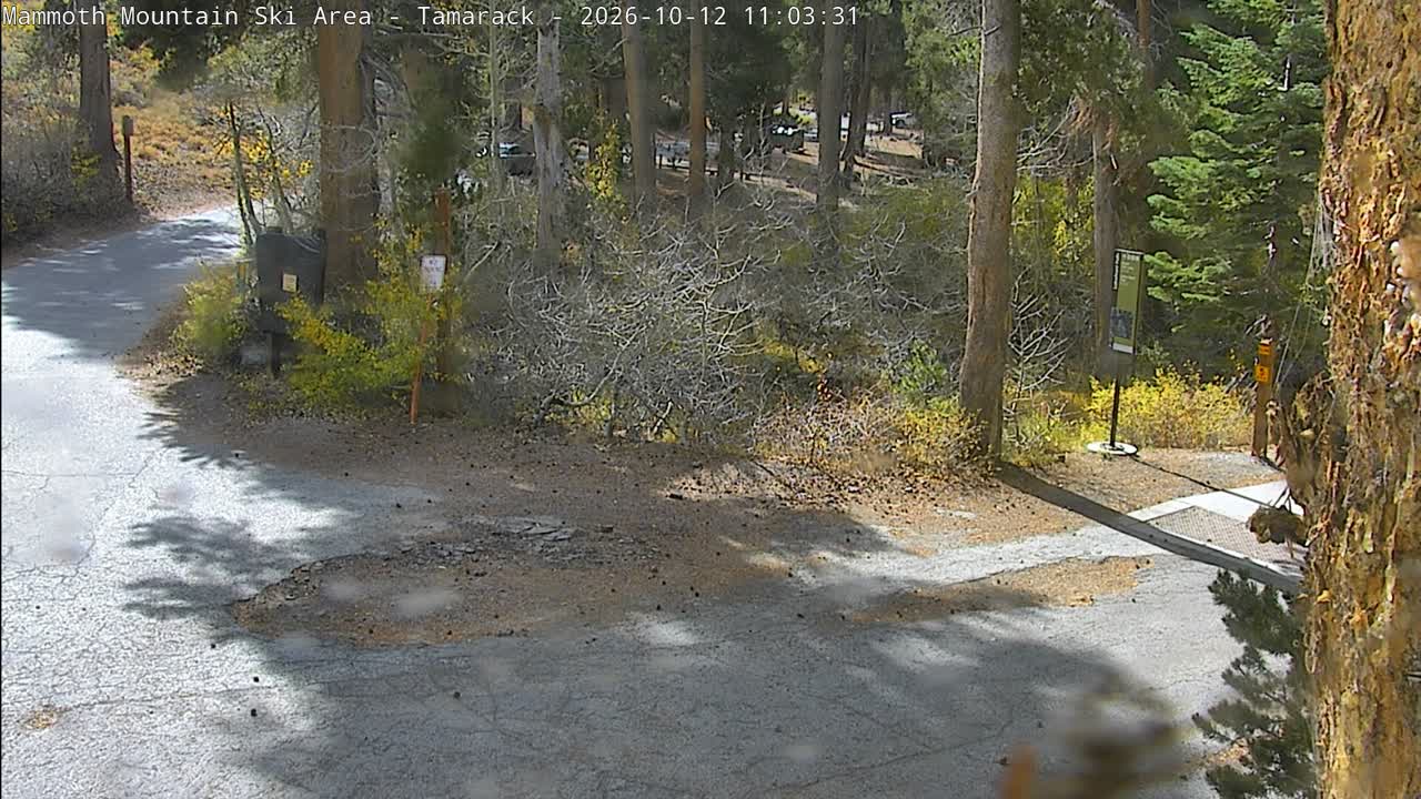 Mammoth Mountain webcam — Tamarack / Twin Lakes