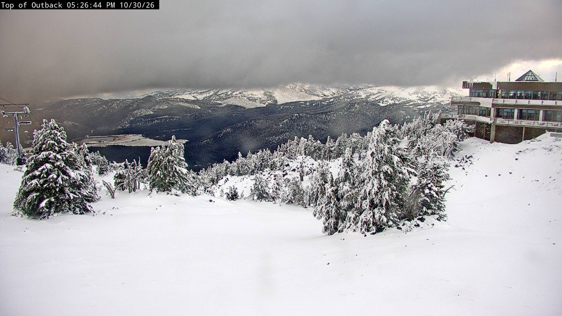 Pine Marten Lodge