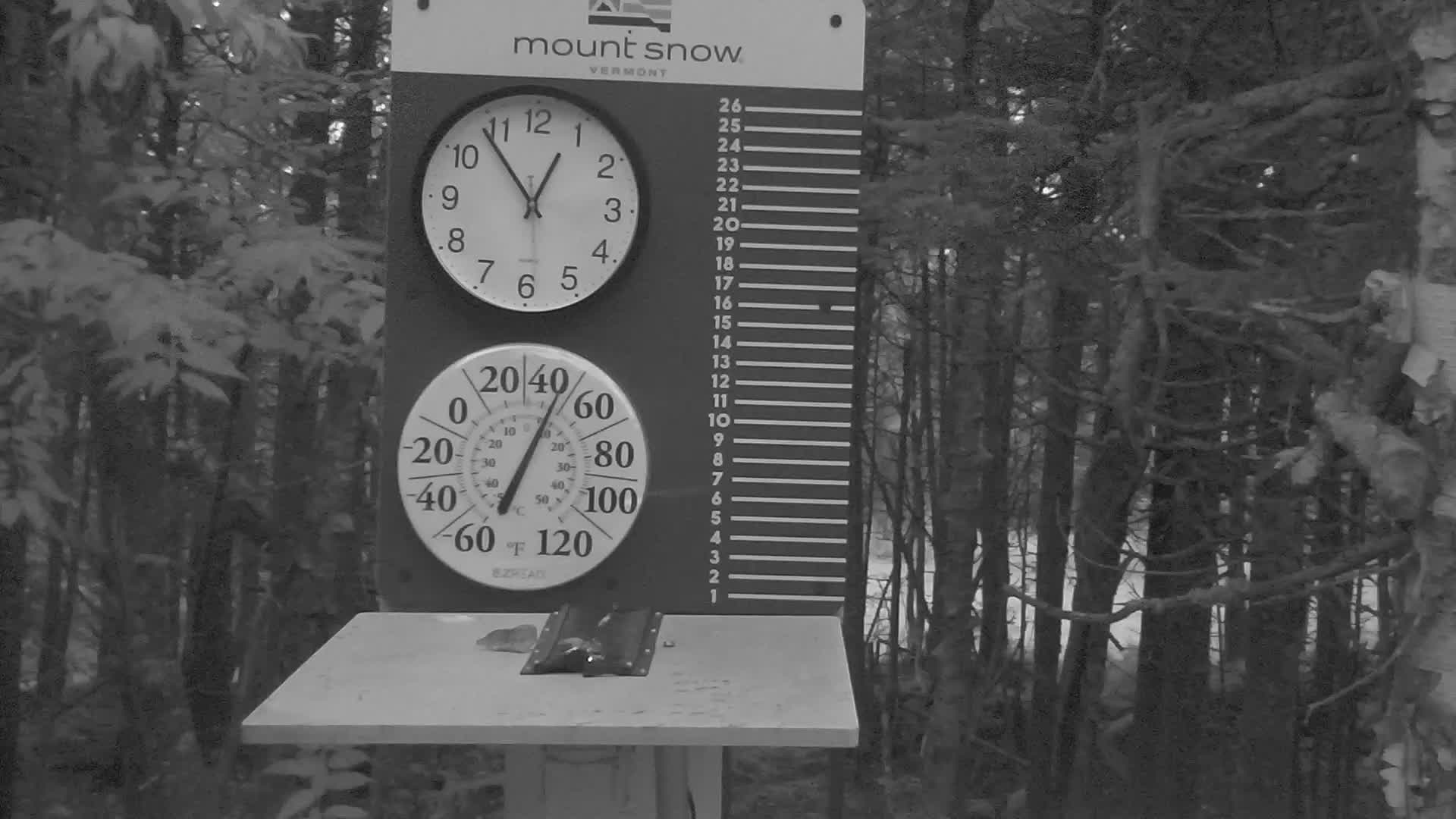 Snow Stake