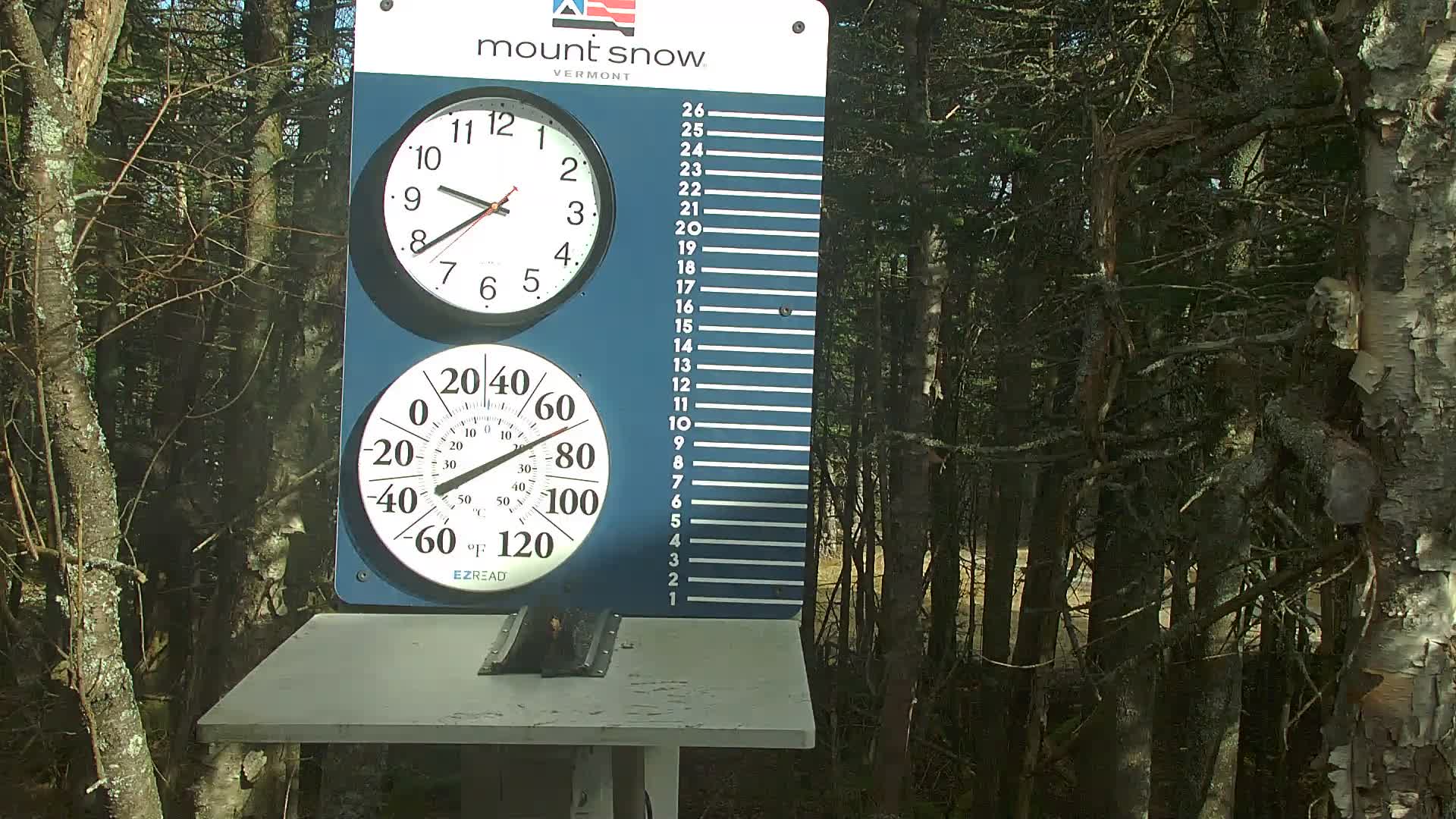 Snow Stake