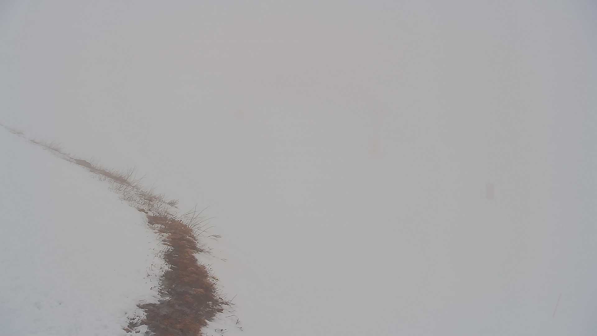 Cam 2