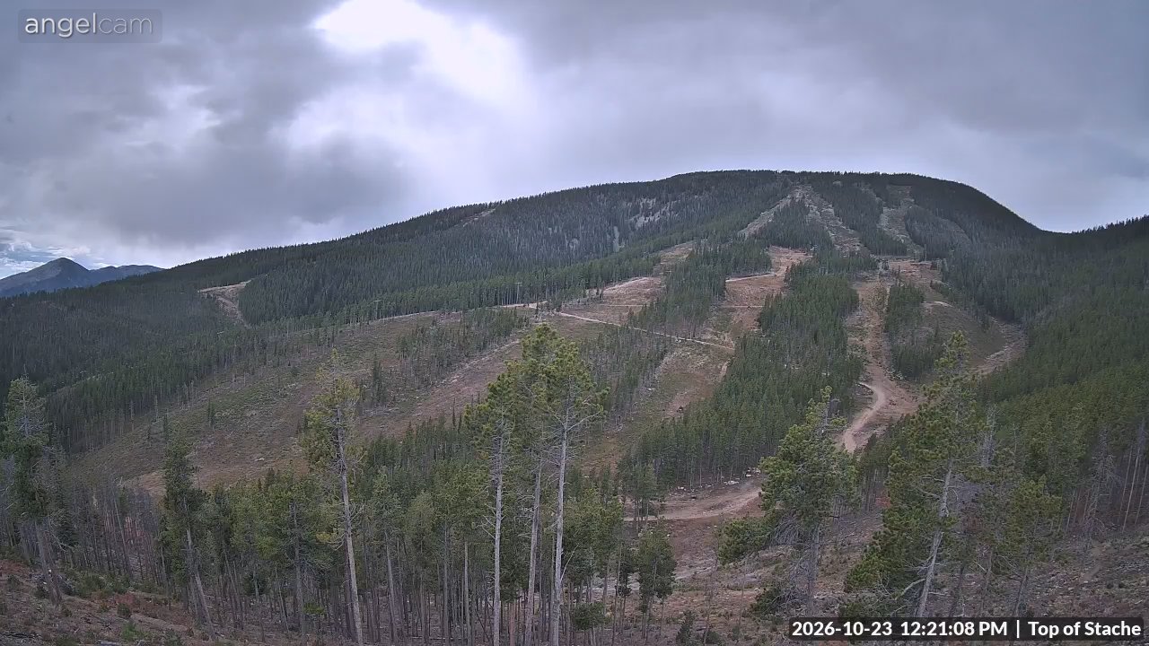 Top of the Stache Lift