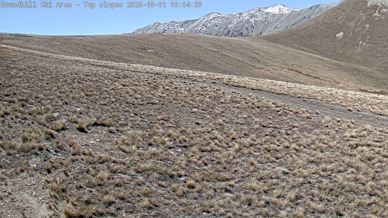 Roundhill Cam 7