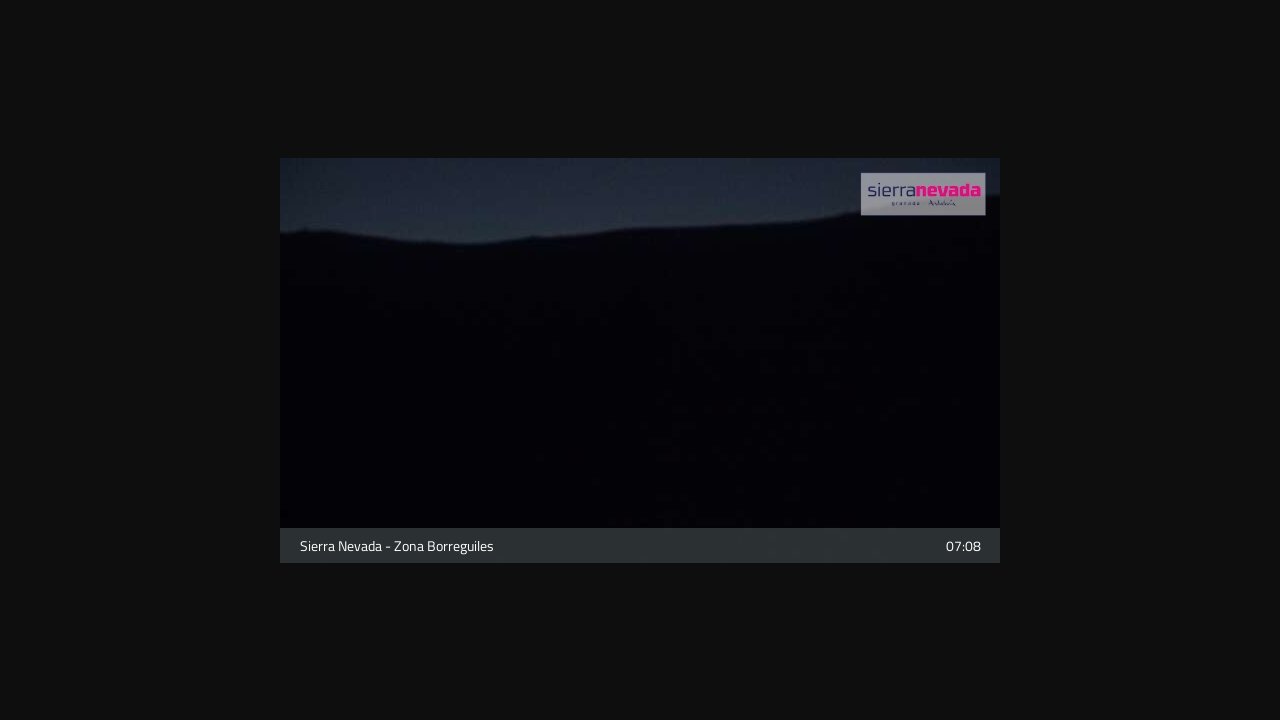 Alpine Garden - Carpets