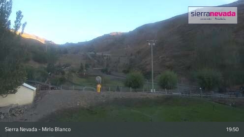 Mirlo Blanco