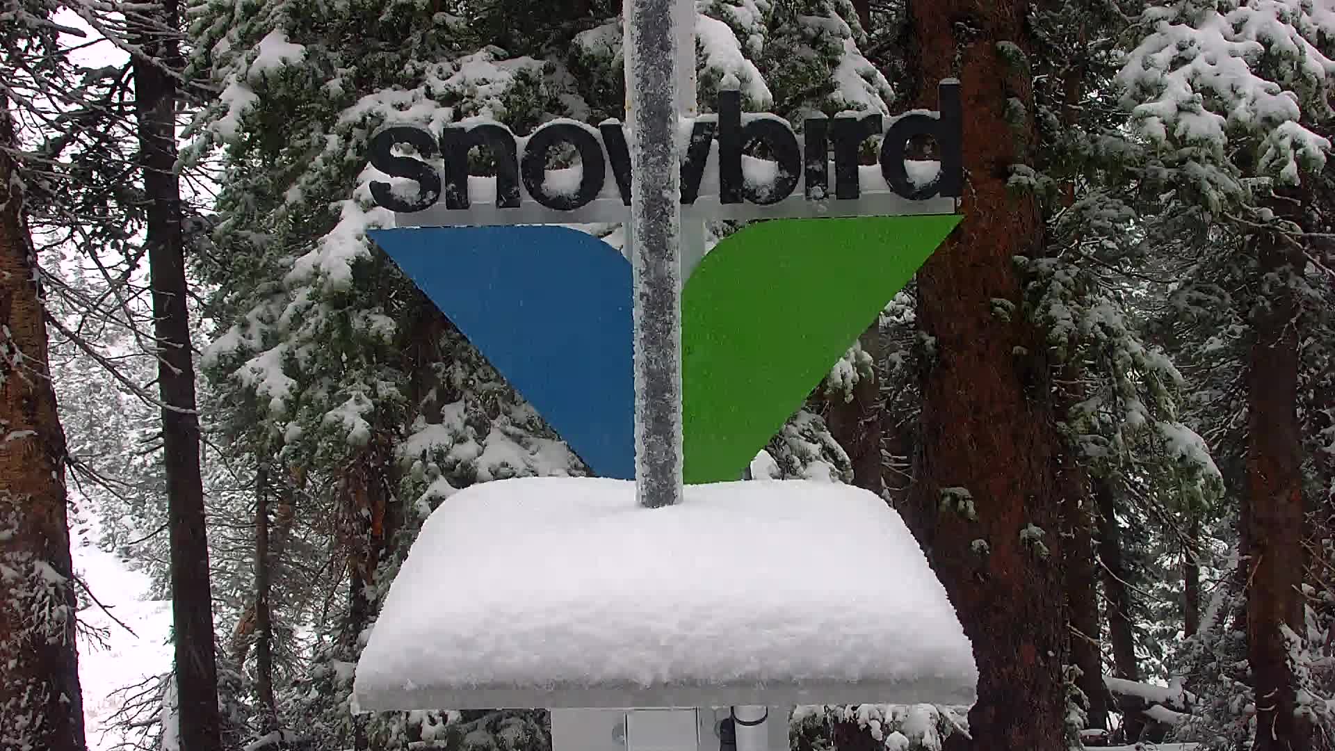 Snowbird webcam — Hidden Peak Summit