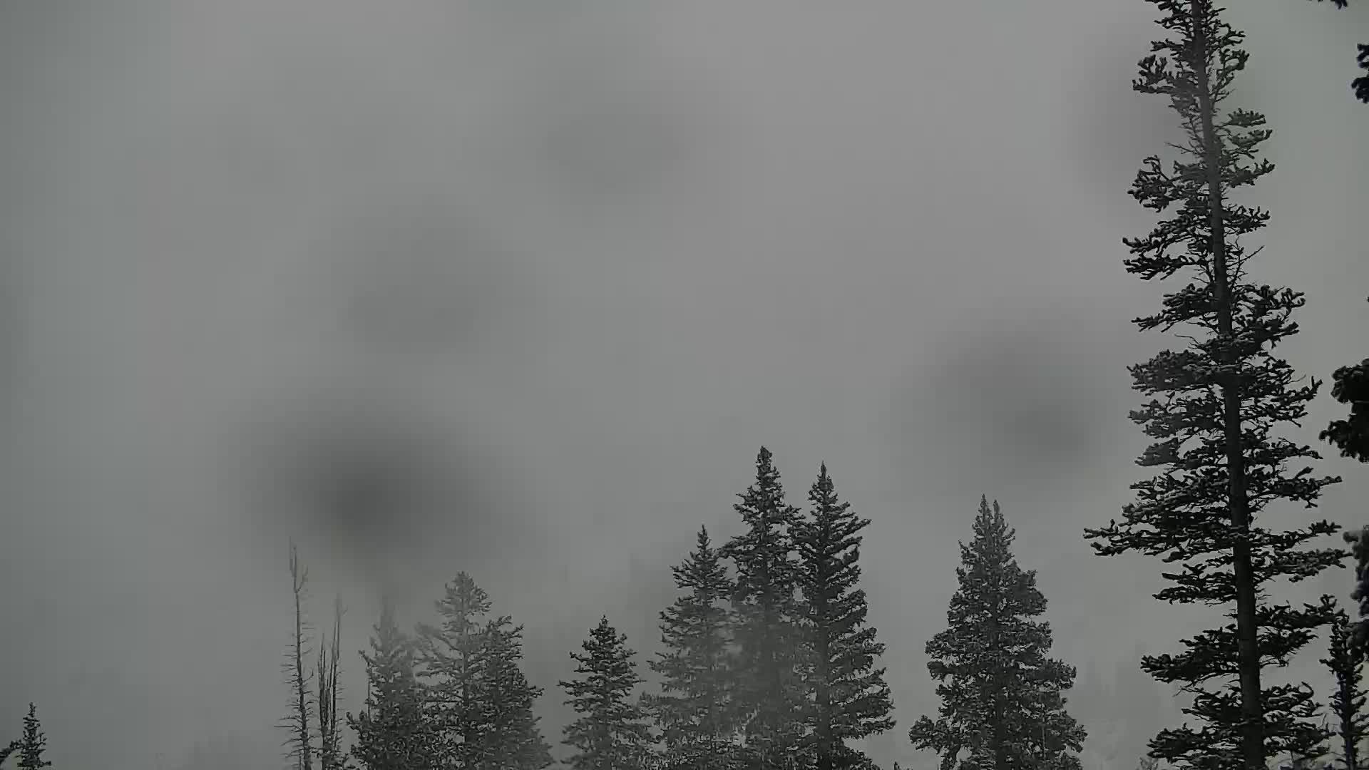Snowstake Webcam