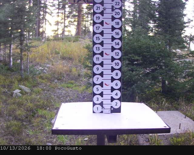 Poco Cam