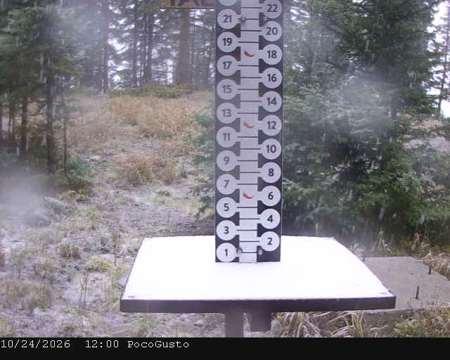 Poco Cam