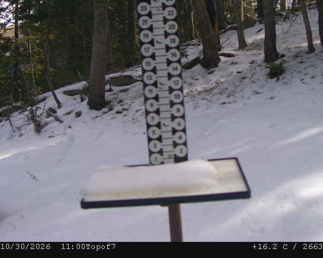 Top of Lift 7 Snowstake