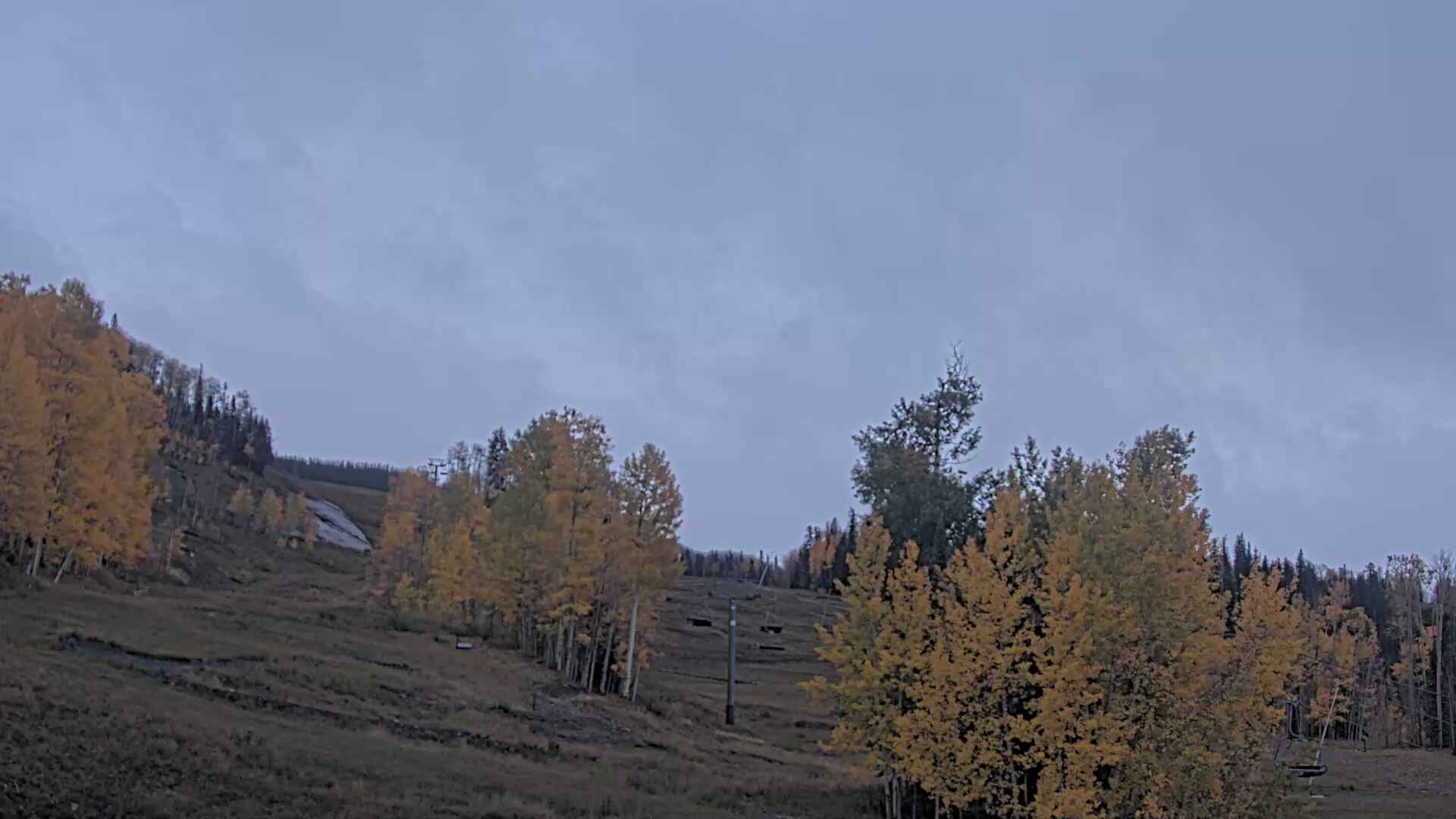 Hoot Brown Terrain Park