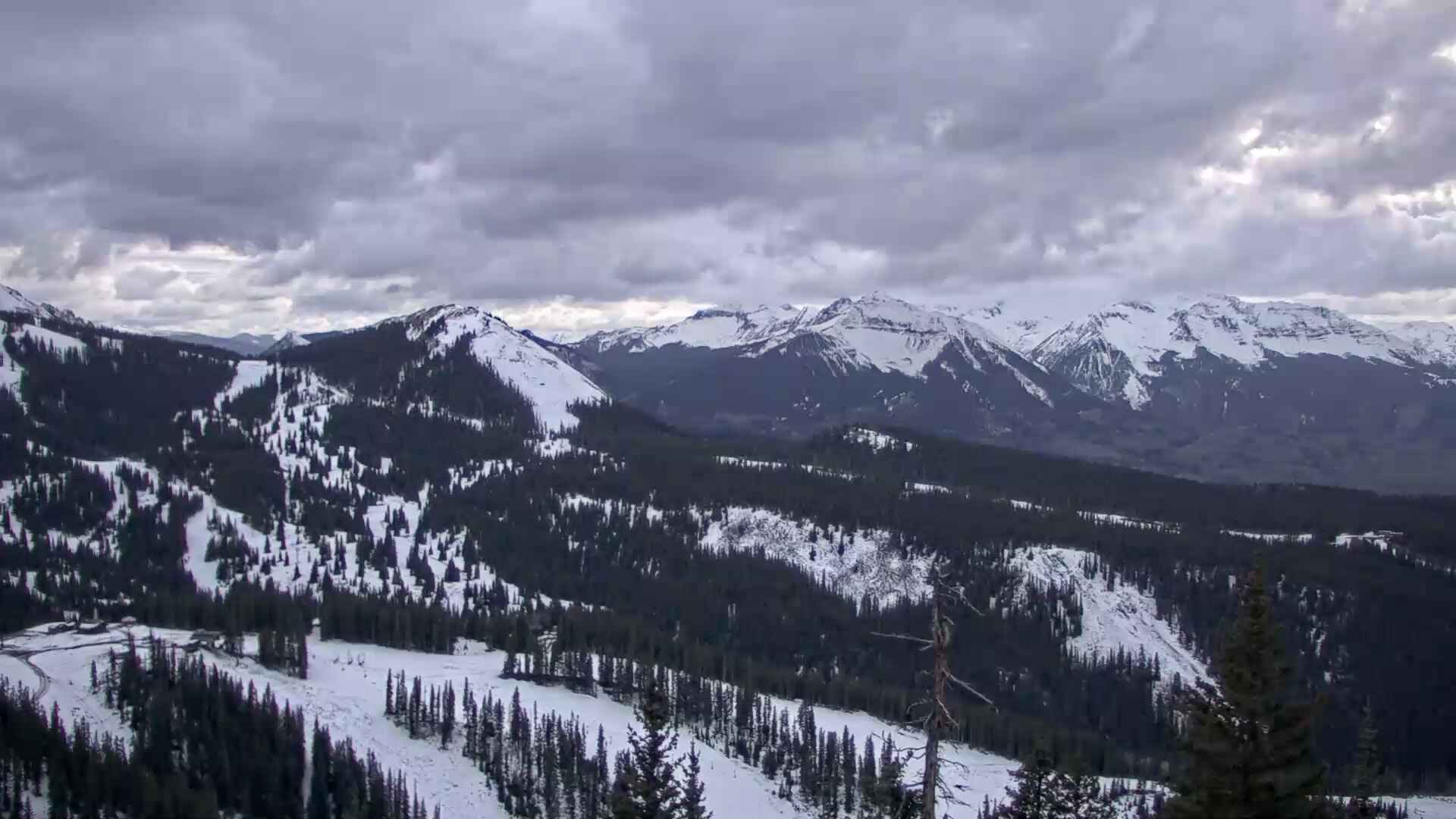 See Forever Webcam