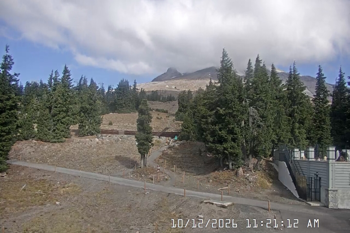 Timberline Lodge webcam — Pucci