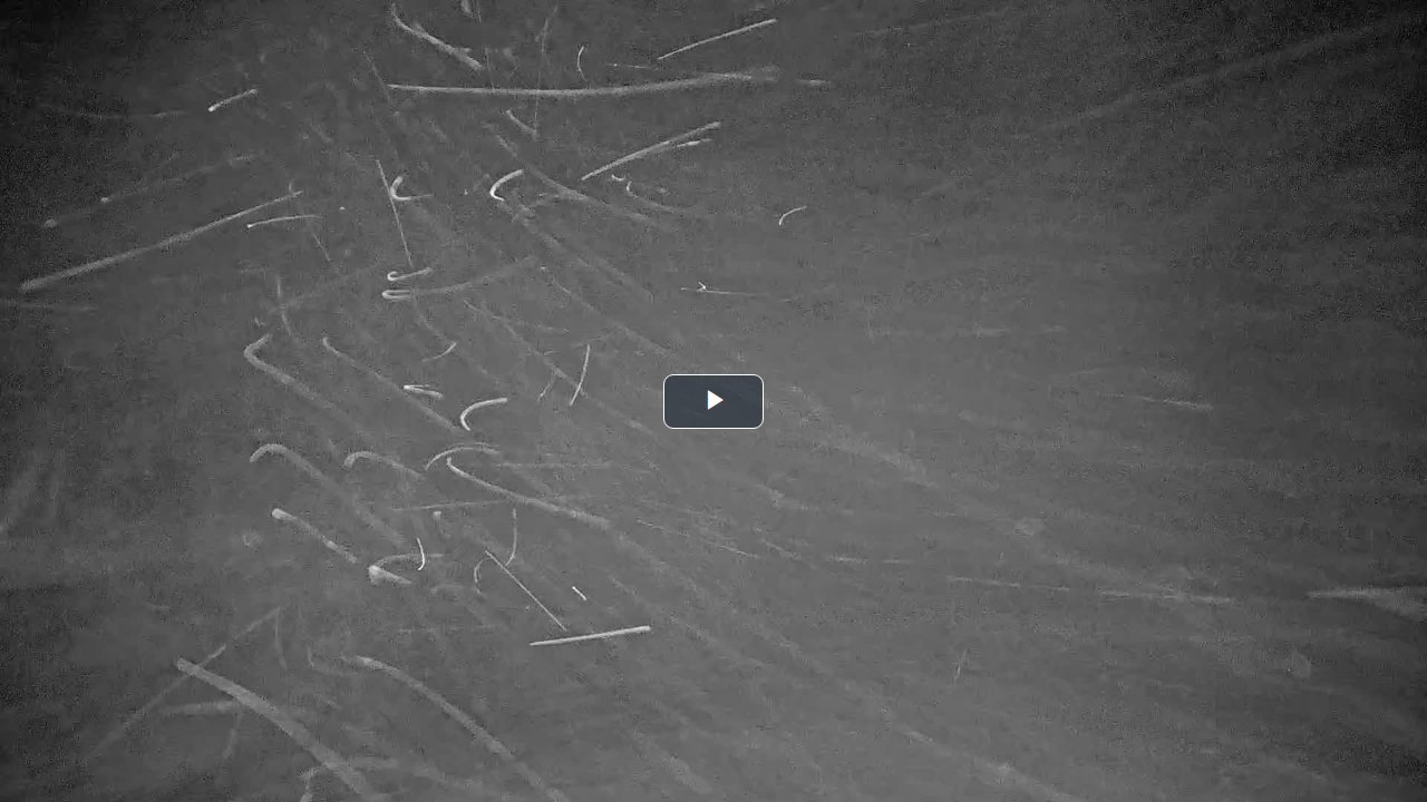 Whistler Peak (2,182m)