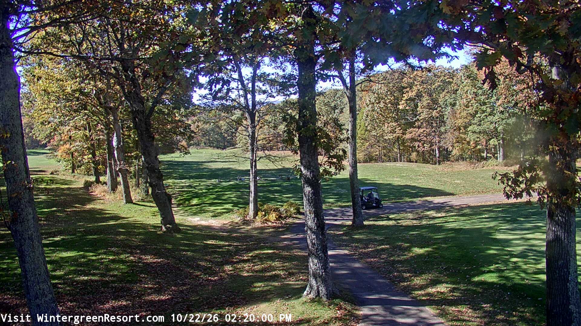 Devils Knob Golf