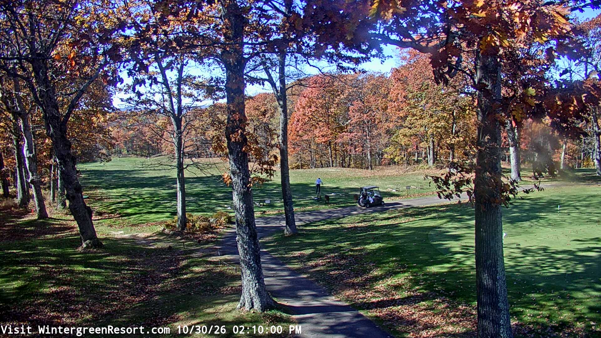 Devils Knob Golf